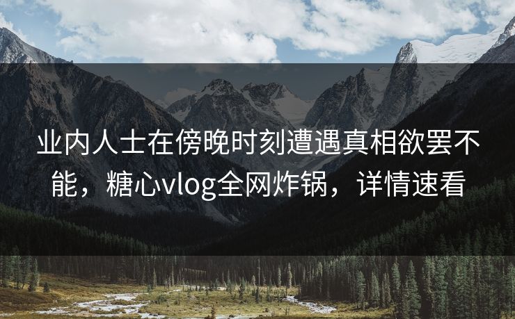 业内人士在傍晚时刻遭遇真相欲罢不能,糖心vlog全网炸锅,详情速看 业内人士在傍晚时刻遭遇真相欲罢不能,糖心vlog全网炸锅,详情速看