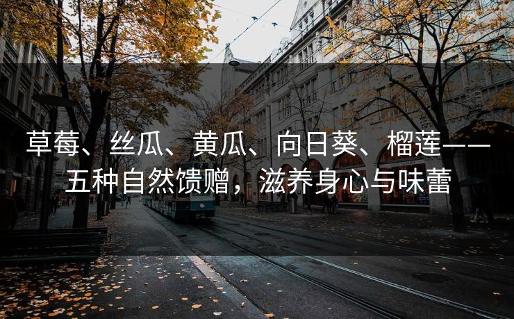 草莓、丝瓜、黄瓜、向日葵、榴莲——五种自然馈赠，滋养身心与味蕾