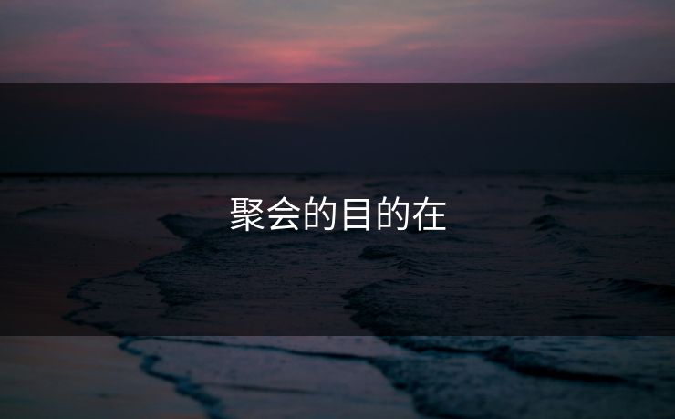 聚会的目的在